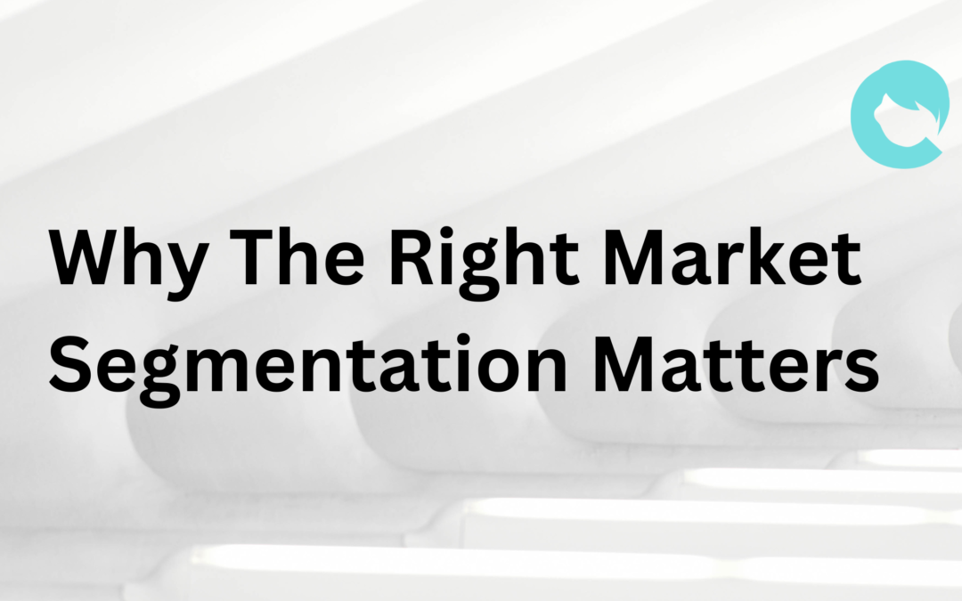 Why The Right Market Segmentation Matters