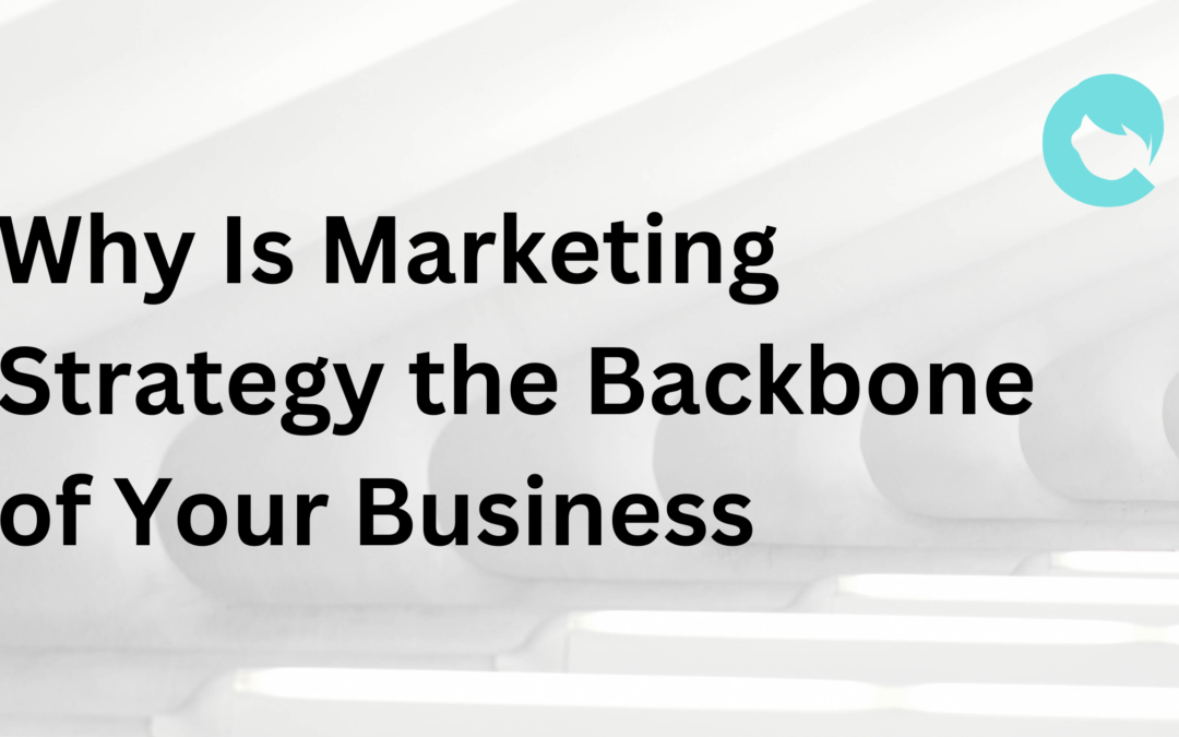 Why Is Marketing Strategy the Backbone of Your Business